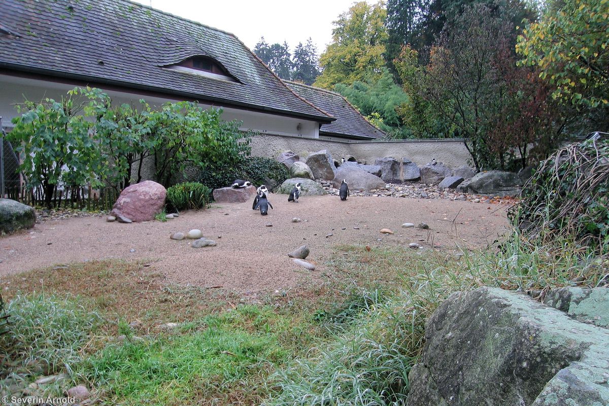 Parc Zoologique et Botanique de Mulhouse