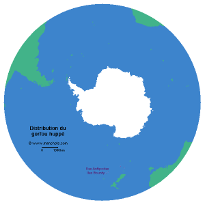Carte de distribution du gorfou huppé