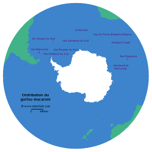 Carte de distribution du gorfou macaroni