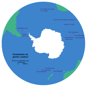 Carte de distribution du gorfou sauteur