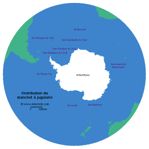 Carte de distribution du manchot à jugulaire