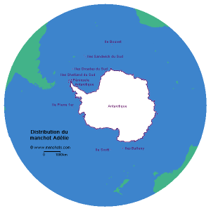 Carte de distribution du manchot Adélie