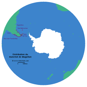 Carte de distribution du manchot de Magellan