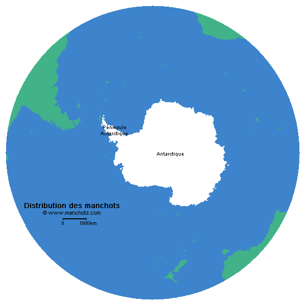 sites-manchots-antarctique